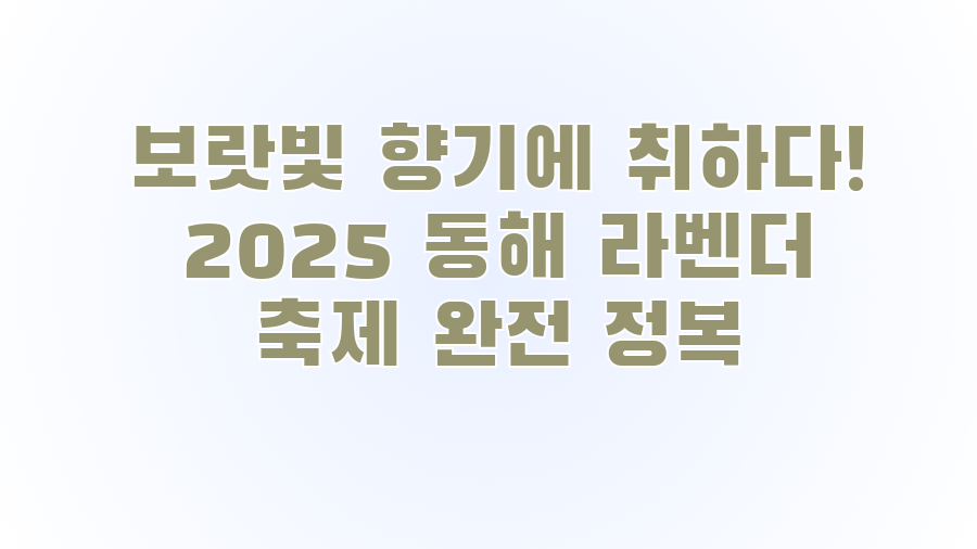 보랏빛 향기에 취하다! 2025 동해 라벤더 축제 완전 정복