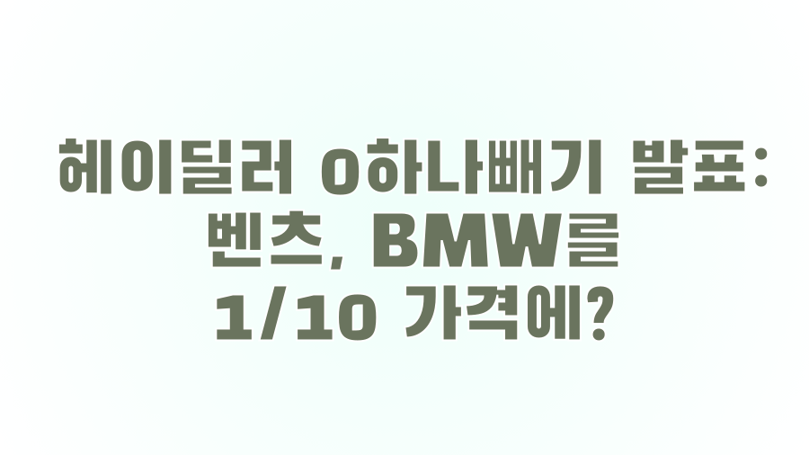 헤이딜러 0하나빼기 발표: 벤츠, BMW를 1/10 가격에?